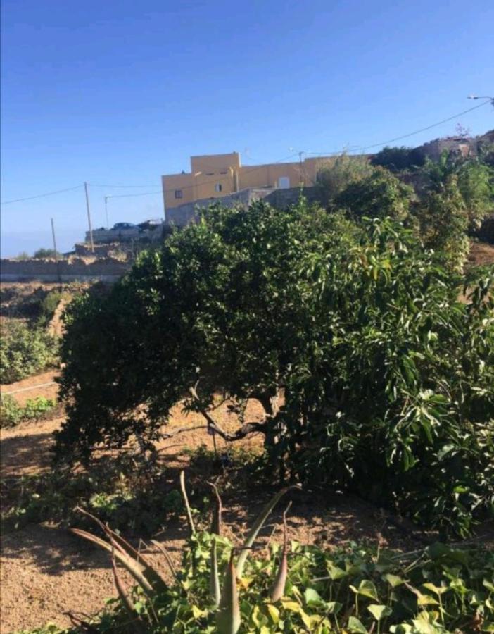 Refugio Secreto De Green Village Fasnia 外观 照片
